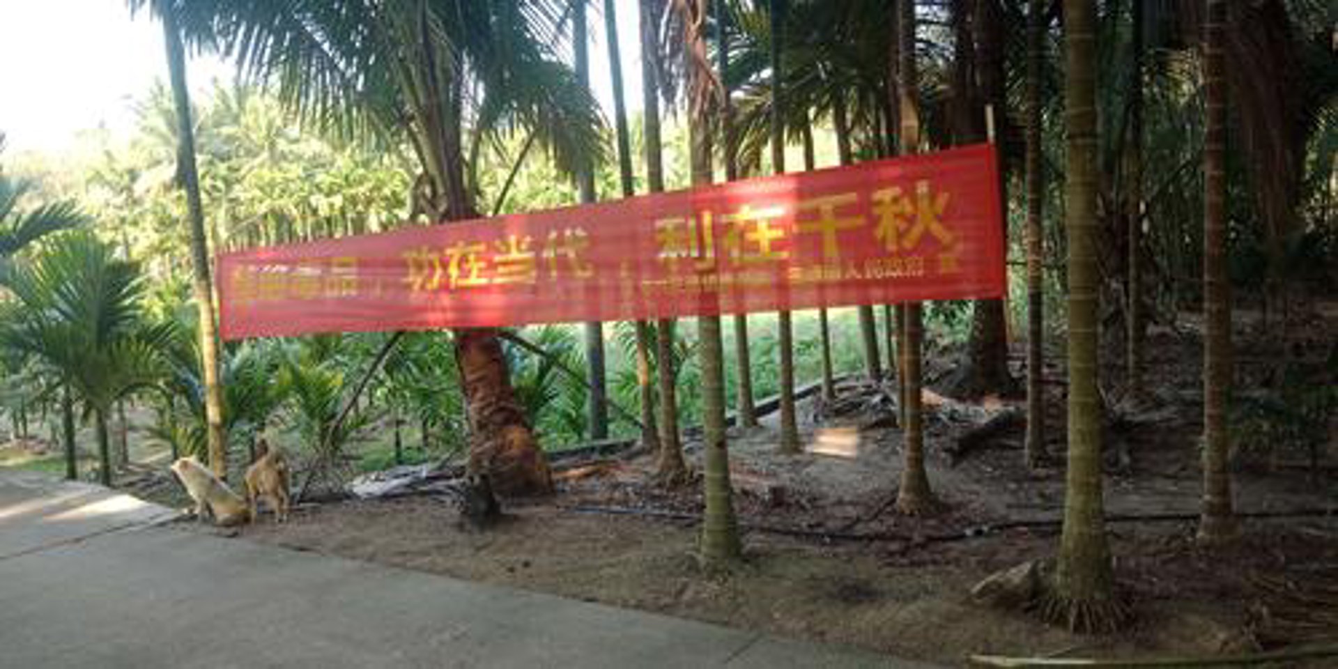 网格互联科技